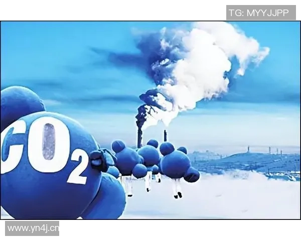 全球气候变化加剧 国际社会呼吁加强合作应对环境危机 全球气候变化加剧 国际社会呼吁加强合作应对环境危机