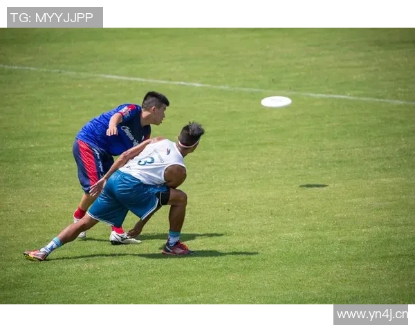 南京飞盘队团队协作的深度探讨与实践经验分享 南京飞盘队团队协作的深度探讨与实践经验分享